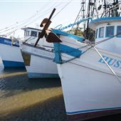 Sea Angel Shrimp Dock