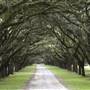 Wormsloe State Historic Site