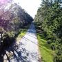 OSCA Road