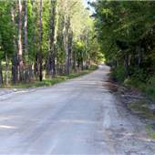 Tommy Long Road