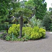 Georgia Southern University - Botanic Garden