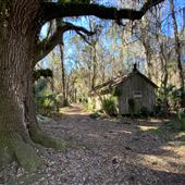 SKIO Interpretive Cabins