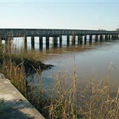 Champney River Park and bridge at Altamaha River