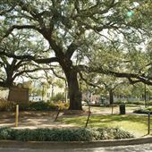 Columbia Square