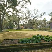 Greene Square