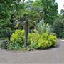 Georgia Southern University - Botanic Garden