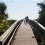 Tybee - 8th St, Beach Access