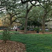Taylor Square
