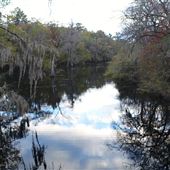 Ebenezer Creek