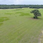Adamsons Fish Camp - Hay Field