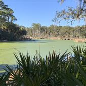 Priest Landing Pond