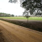 Ottis Oliver Rd.
