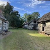 Myrtle Grove Cabins, Cotton and Cane Fields