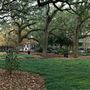Taylor Square