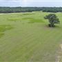 Adamsons Fish Camp - Hay Field