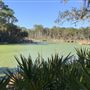 Priest Landing Pond