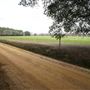 Ottis Oliver Rd.