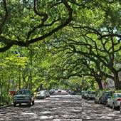 Jones Street