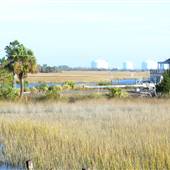 Old Oatland Island Rd Bridge