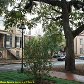 Survey of Savannah Squares