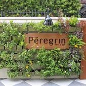 Peregrin Rooftop Lounge