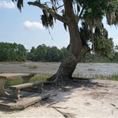Jones Creek Recreation Area - Low Tide