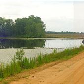Ibo Anderson Rd.