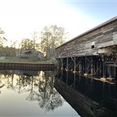 George L. Smith State Park