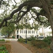 Warren Square