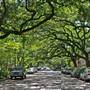 Jones Street