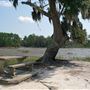 Jones Creek Recreation Area - Low Tide