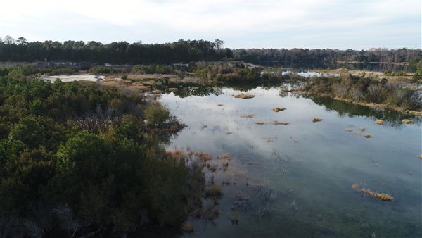 Borrow Pit off 17