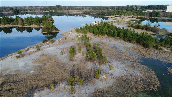 Borrow Pit off 17